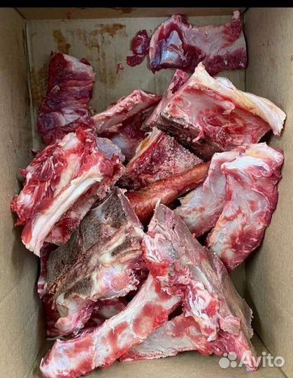 Кости для собак, рубленные говядина