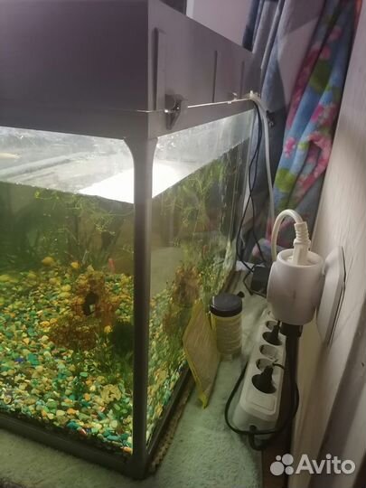 Аквариум 100л