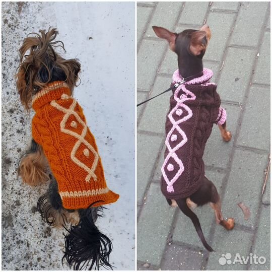 Одежда для собаки