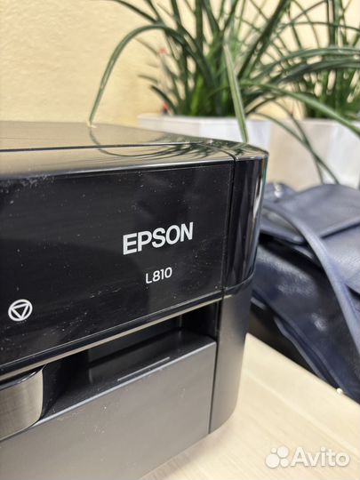 Мфу струйный epson