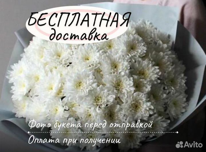 Букет Цветы Хризантемы