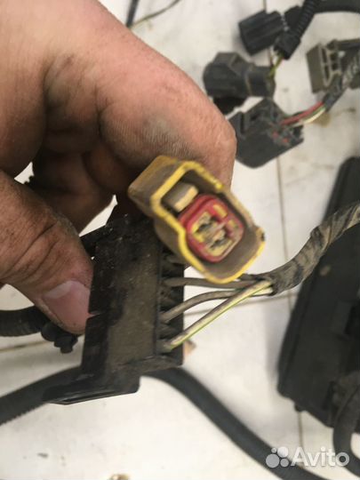 Проводка (коса) Focus I 1998-2004