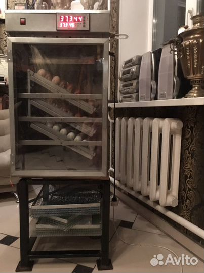 Все для содержания птицы