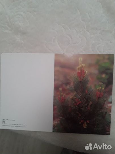 Новогодние открытки СССР