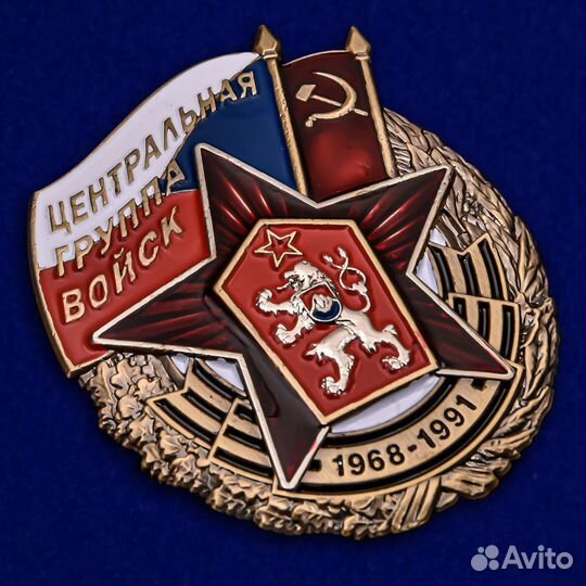 Знак медаль Центральная Группа Войск