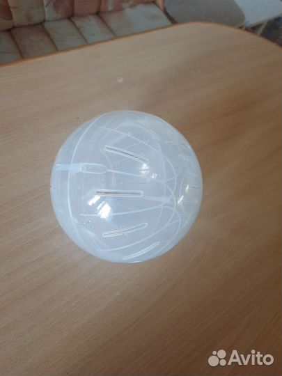 Прогулочный шар для грызунов