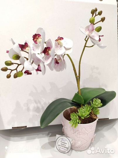 Орхидея искусственная реал тач