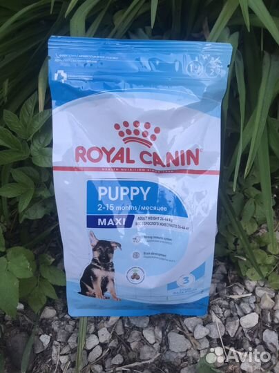 Корм для собак royal canin maxi puppy