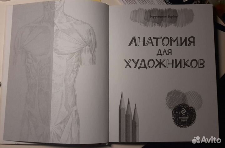 Анатомия для художников