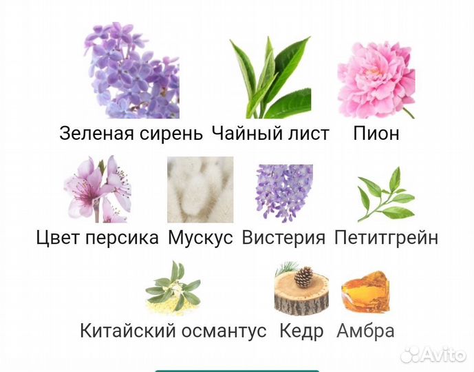 Lanvin eclat d arpege 34ml