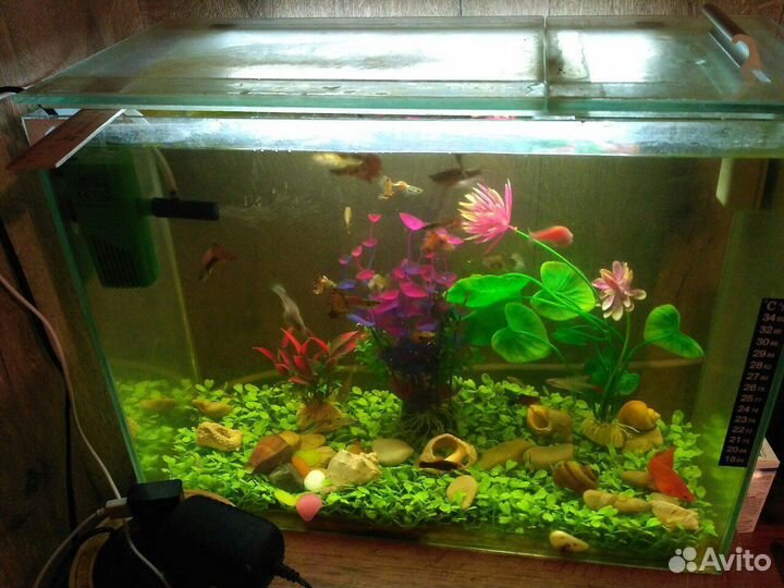 Аквариумы 30 и 10 литров