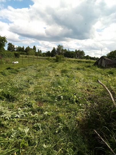 Участок 50 сот. (ИЖС)