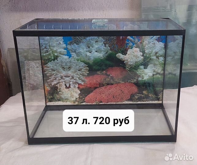 Аквариум