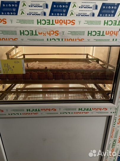 Инкубатор Витязь-14