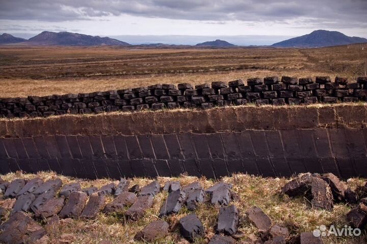 Торф переходный