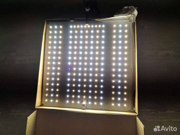 Фитолампа Quantum Board 65Вт Новые Veg/Bloom