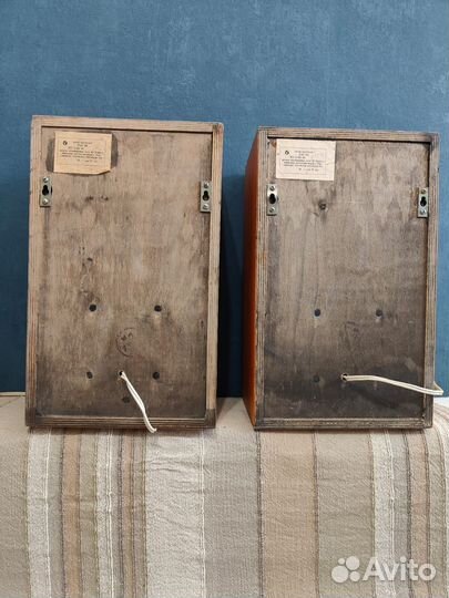 Акустические колонки 15 ас-109 «Вега»