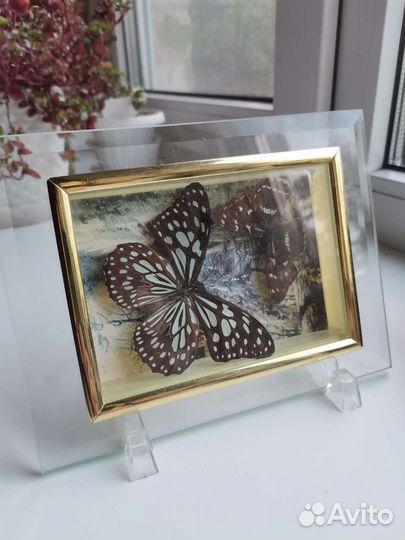 Рамка-бабочки