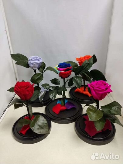 Роза в колбе оптом и в розницу