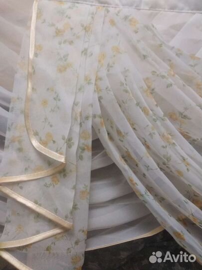 Красивый Ламбрекен