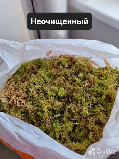 Мох сфагнум живой, свежий сбор 2023 - 24 литра