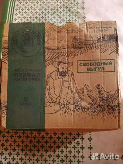 Инкубационное яйцо китайской шёлковой