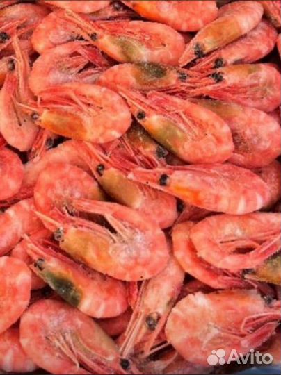Креветки северные 90/120