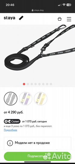 Staya. Поводок-перестежка + ошейник S