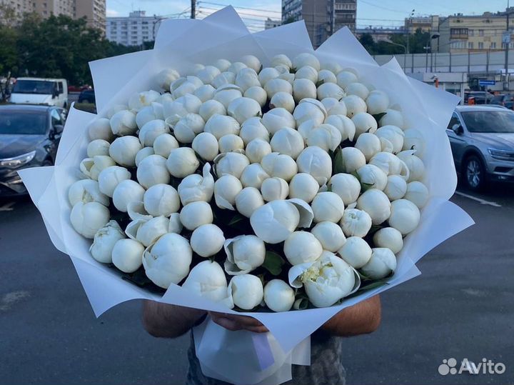 Пионы цветы букеты