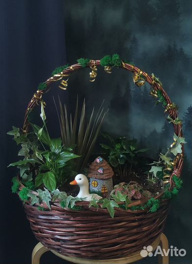 Композиция из живых цветов