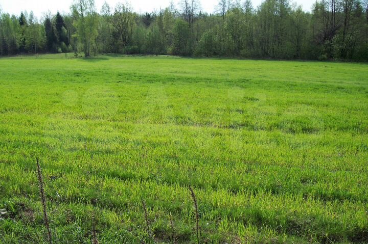 Участок 70 сот. (ИЖС)