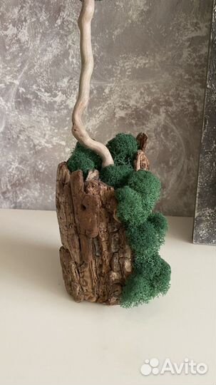 Деревце из мха