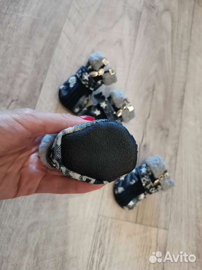 Обувь для маленьких собак