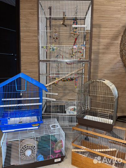 Клетки канарейка, попугай, хомяки, птицы