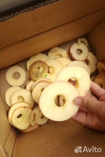 Машина удаления сердцевины и нарезки яблок