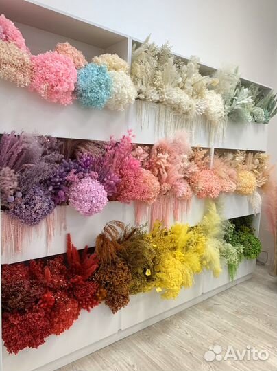 Сухоцветы и стабилизированные цветы