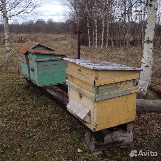 Ульи для пчел