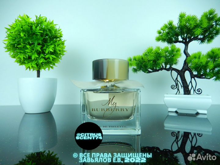 Burberry - My Отливант