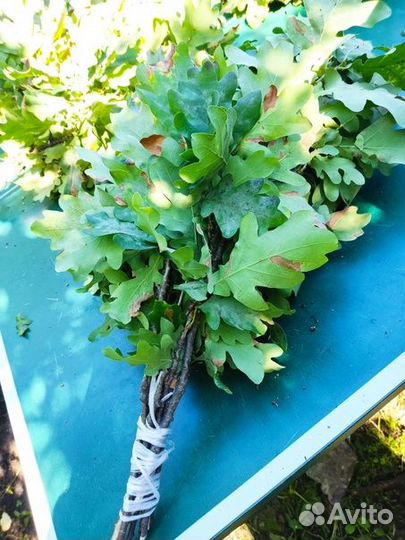 Дубовые веники для бани