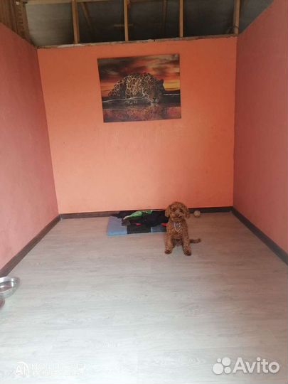 Зоогостиница Зоосфера