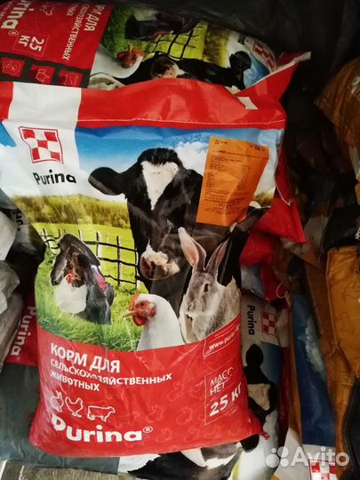 Корма Пурина (Purina)