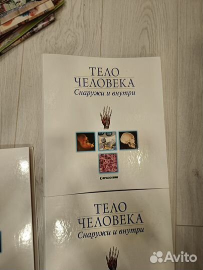 Журналы тело человека снаружи и внутри 3 папки