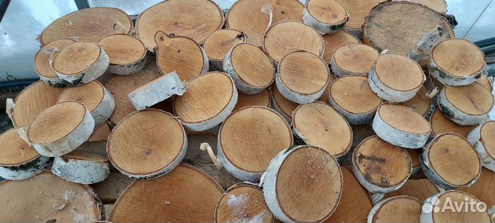 Спилы разных пород дерева
