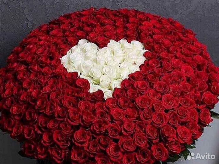 Розы красные