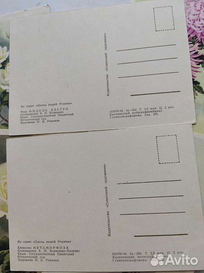Открытки, Времён СССР, 1964, худ. И. Романов