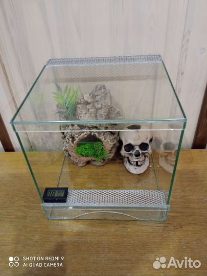 Террариумы, паучатники