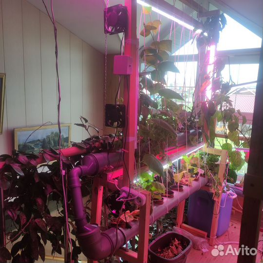 Продаю гидропонную установку