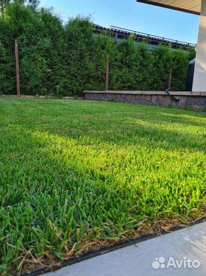 Рулонный газон от производителя