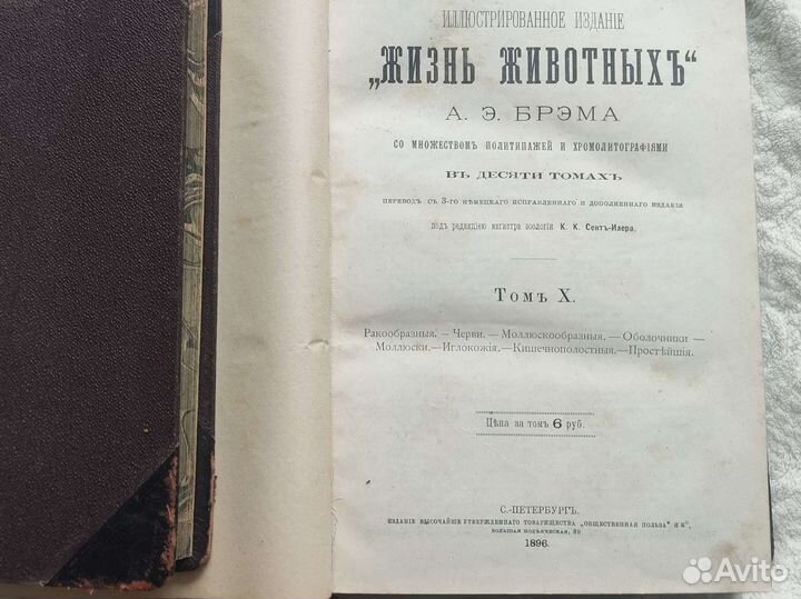 Антикварные книги. Брем А. Э. Жизнь животных