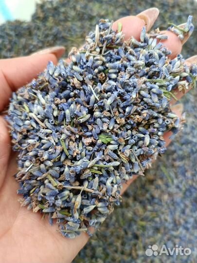 Лаванда цветок (россыпь)